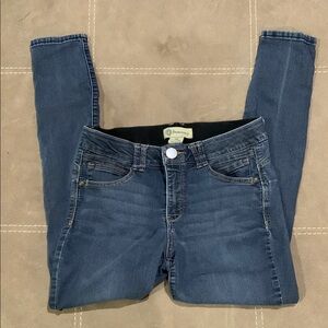 Democracy Blue Skinny Jeans Classic Fit